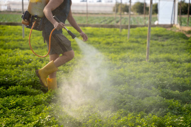 Best Best Pest Control Companies  in Bridgehampton, NY