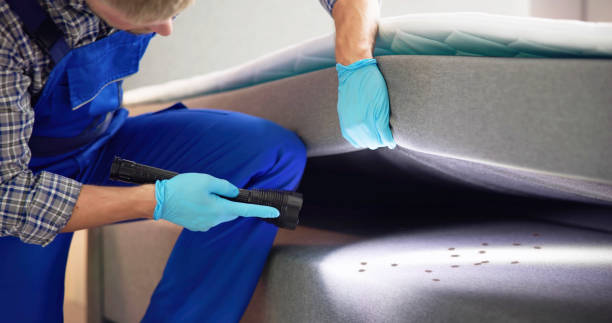 Best Mosquito Control Services  in Bridgehampton, NY