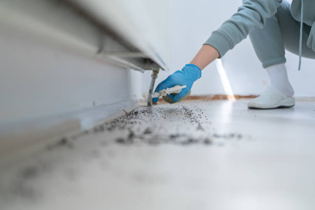 Wildlife Control Services in Bridgehampton, NY