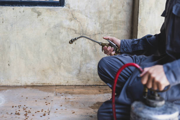Best Pest Control Treatment  in Bridgehampton, NY